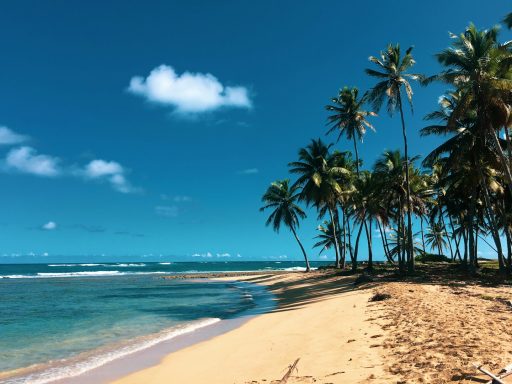 R. Dominicana desde € 790 Republica Dominicana